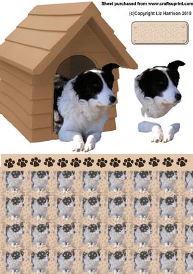 Border Collie in a Kennel Decoupage