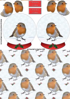 Robin Christmas Snow Globe Decoupage