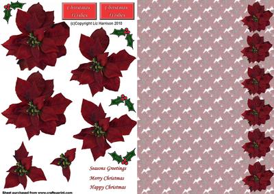 Poinsettia & Background 3D Decoupage