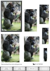 Gorilla Silverback Pyramid