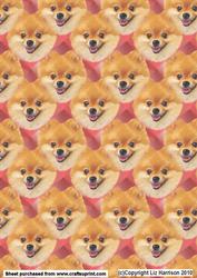 Pomeranian Bauble Background