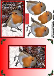 Robin Christmas Card Front with 3D Decoupage