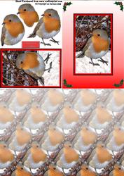 Robin Christmas Card Front with Background