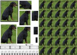 Doberman Pinscher 1 Pyramid with Background