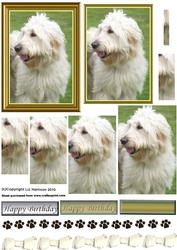 Labradoodle Dog Pyramid