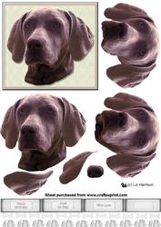 Weimaraner Dog Portrait 3D Decoupage