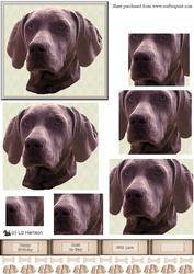 Weimaraner Dog Portrait Pyramid