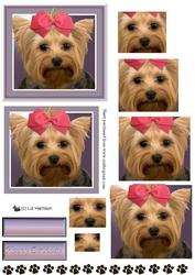 Yorkshire Terrier Portrait Pyramid
