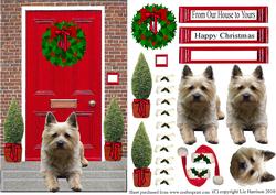 Christmas Door with Cairn Terrier
