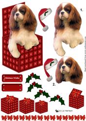 Cavalier King Charles Spaniel Christmas Box