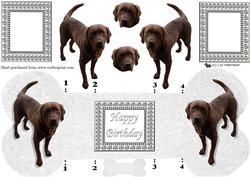 Chocolate Labrador Bone Shaped Card