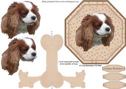 Cavalier King Charles Spaniel Plate Shaped Card & Stand