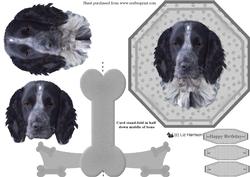 Black & White Cocker Spaniel Plate Shaped Card & Stand
