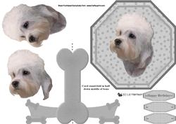 Dandie Dinmont Plate Shaped Card & Stand
