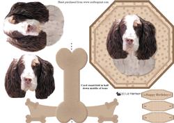 Springer Spaniel Plate Shaped Card & Stand