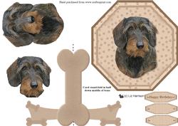 Wire Haired Dachshund Plate Shaped Card & Stand