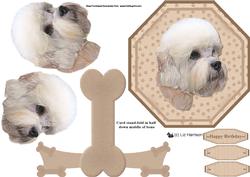 Dandie Dinmont Plate Shaped Card & Stand