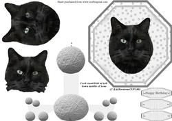 Black Cat Plate Shaped Card and Stand