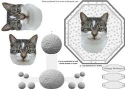 Cat Shorthaired Plate Shaped Card with Stand