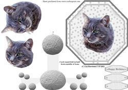 Grey Tabby Cat Plate Shaped Card & Stand