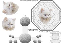 Persian Cat Plate Shaped Card & Stand
