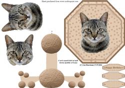 Tabby Cat Plate Shaped Card & Stand