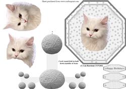 White Fluffy Cat Plate Shaped Card & Stand