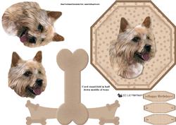 Norwich Terrier Plate Shaped Card & Stand