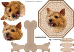 Norwich Terrier 2 Plate Shaped Card & Stand