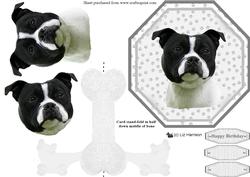 Staffordshire Bull Terrier,b & W, Plate Shaped Card & Stand