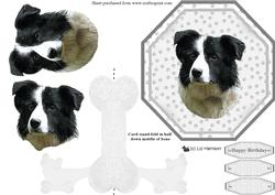 Border Collie Plate Shaped Card & Stand