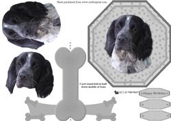 Cocker Spaniel Plate Shaped Card & Stand