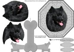 German Spitz Plate Shaped Card & Stand