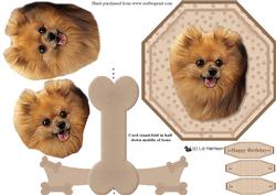 Pomeranian Plate Shaped Card & Stand