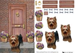 Yorkshire Terrier on a Door Step