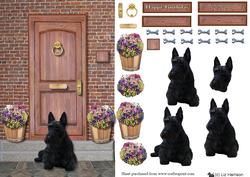Scottish Terrier on a Door Step