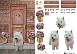 Westie on a Door Step