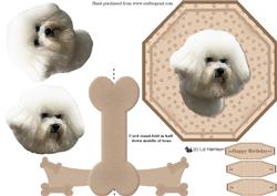 Bichon Frise Plate Shaped Card & Stand