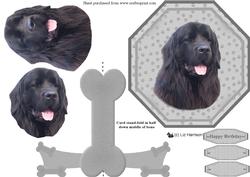 Black Newfoundland Plate Shaped Card & Stand
