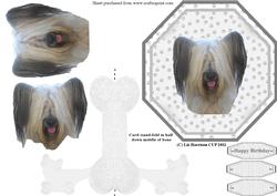 Skye Terrier Plate Shaped Card & Stand