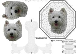 West Highland White Terrier 5 Plate Shaped Card & Stand