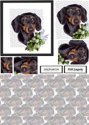 Dachshund Sympathy Card