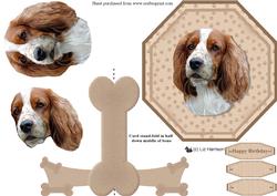 Spaniel Plate Shaped Card & Stand