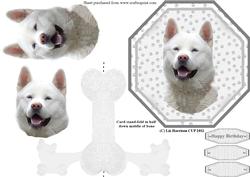 White Akita Plate Shaped Card & Stand