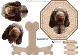 Italian Spinone Plate Shaped Card & Stand