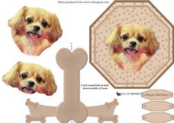 Tibetan Spaniel Plate Shaped Card & Stand