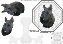 Scottish Terrier Plate Shaped Card & Stand