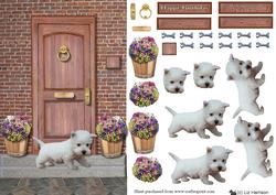 Westie Puppy on a Door Step