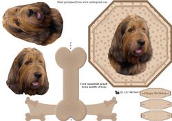 Italian Spinone Plate Shaped Card & Stand
