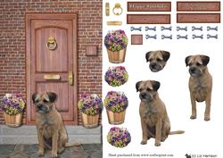 Border Terrier on a Door Step